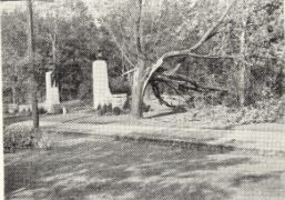 APL hurricane 1938 capron park